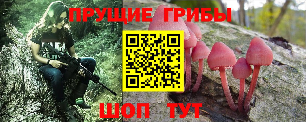 Кирово-Чепецк  Галлюциногенные грибы мицелий  Вход с VPN  Галлюциногенные грибы Magic Shrooms 